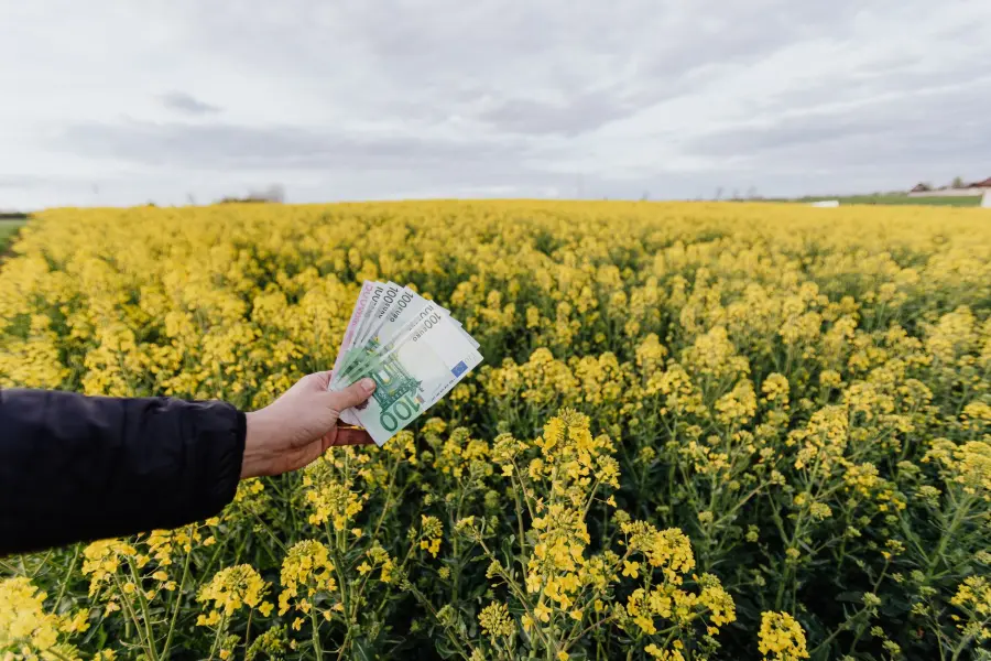 Credito d'imposta 4.0 in agricoltura: guida alla richiesta