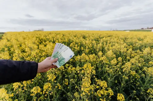 Credito d'imposta 4.0 in agricoltura: guida alla richiesta
