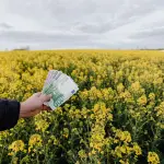 Credito d'imposta 4.0 in agricoltura: guida alla richiesta