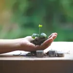 Conformità ESG: cosa chiede davvero il mercato alle imprese