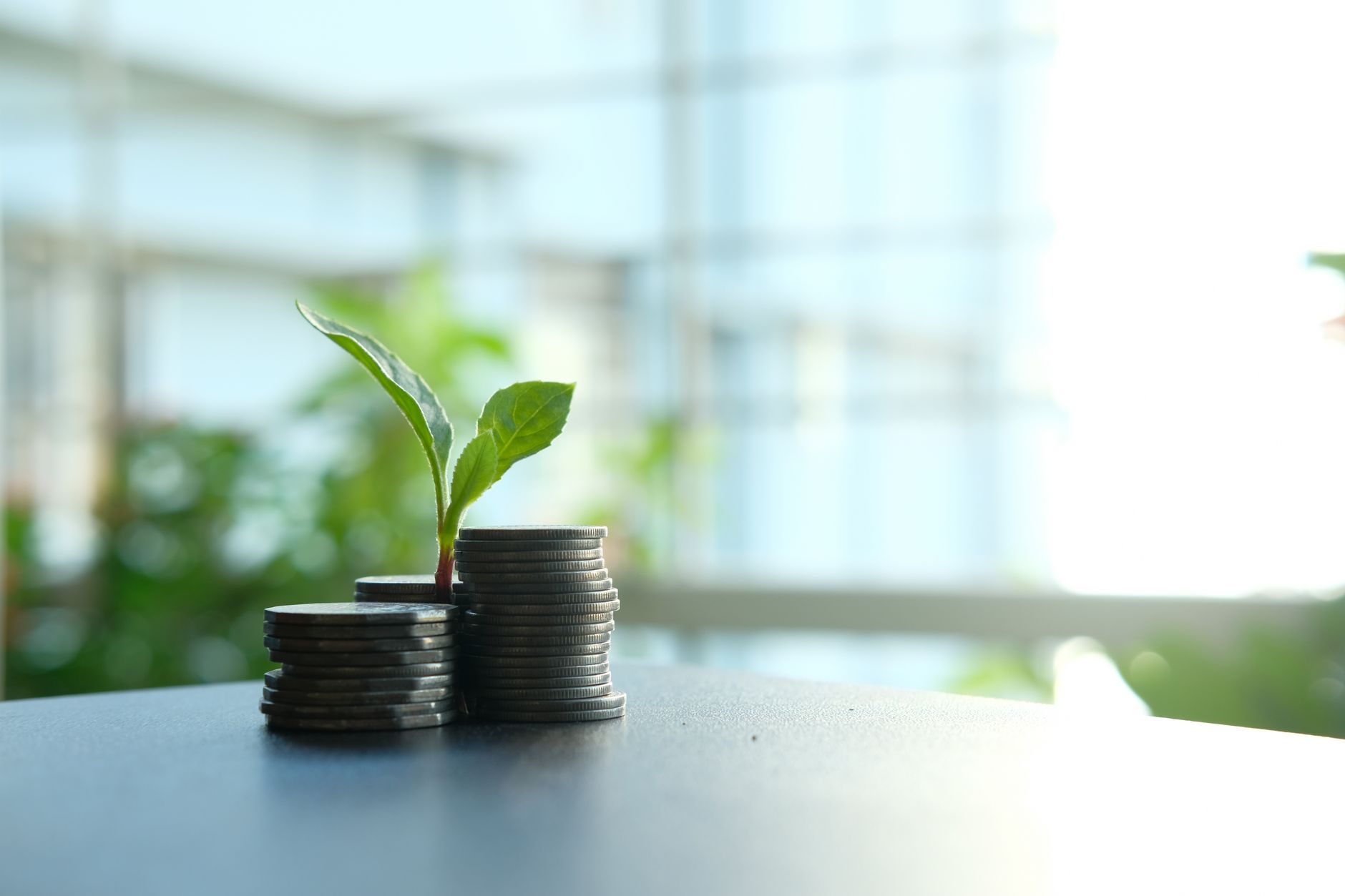 Green bond: come funziona e cosa cambia nel 2026